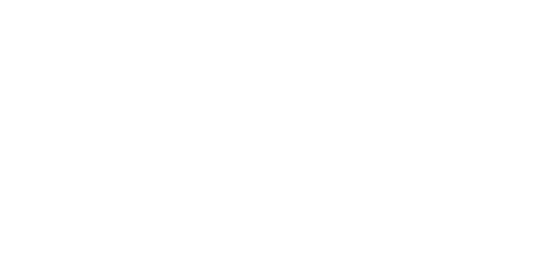 The Dental Marketer